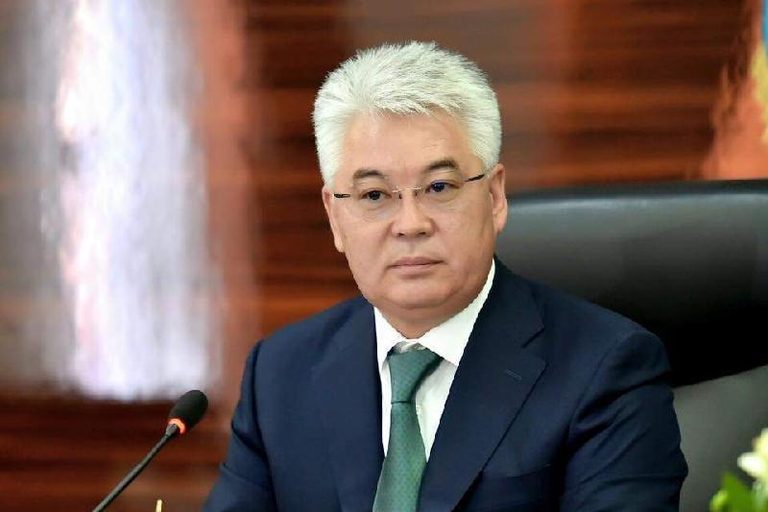 Глава государства принял министра индустрии и инфраструктурного развития Бейбута Атамкулова