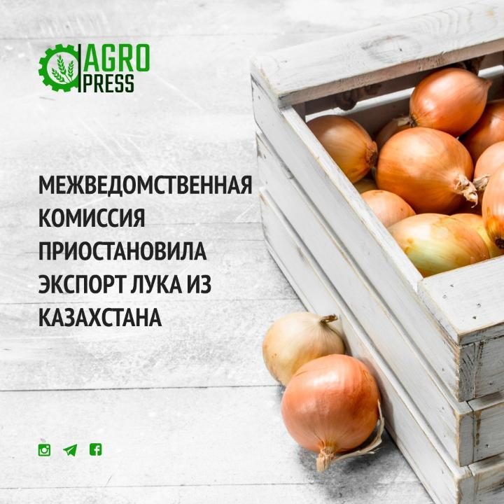 МСХ РК: Межведомственная комиссия приостановила экспорт лука из Казахстана