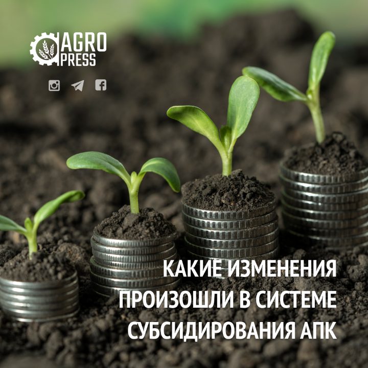 В МСХ рассказали, какие изменения произошли в системе субсидирования АПК