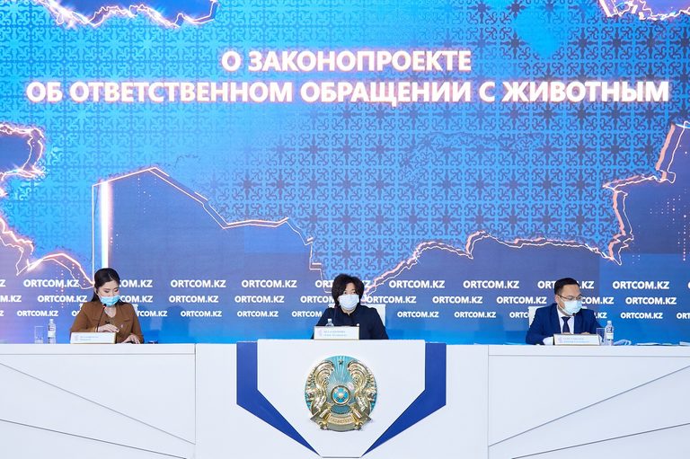 Человек, неравнодушный к животным… Кто может стать «общественным инспектором» по контролю за гуманным обращением с животными, объяснили в Минэкологии