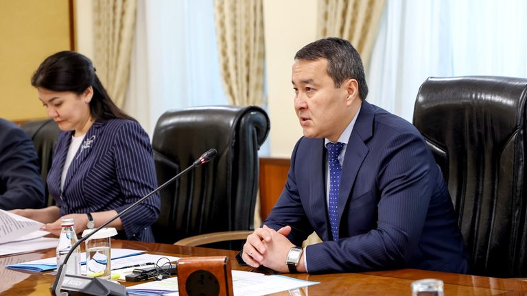 Глава Правительства встретился с представителями ВОЗ