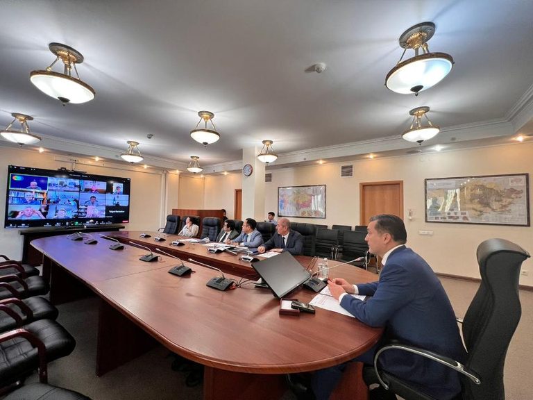 Новые подходы по управлению популяции сайгаков обсуждены в Минэкологии