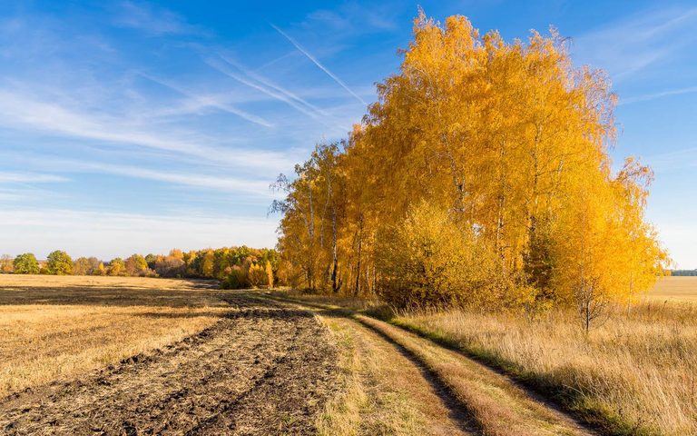Бабье лето продолжается