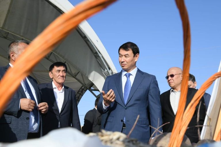В Туркестанской области освоили производство оборудования для тепличного хозяйства