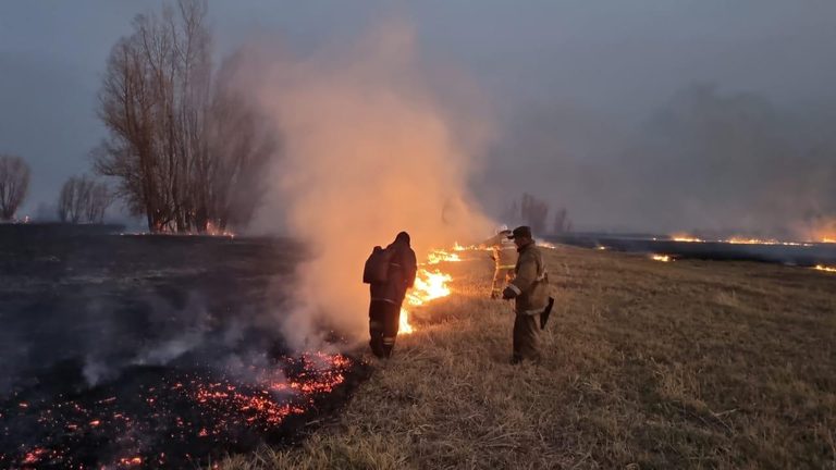 В ВКО основная часть пожаров локализована. За сутки совершено  более 57 выездов