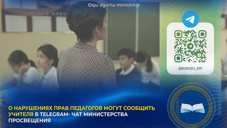 О нарушениях прав педагогов могут сообщить учителя в Telegram-чат Министерства просвещения
