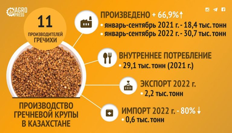 МСХ РК: рынок Казахстана полностью обеспечен собственной гречкой. Объёмы производства выросли на 67%