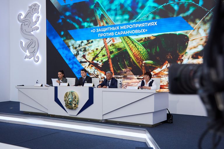 Шегірткемен күресуге 8,1 млрд теңге бөлінді