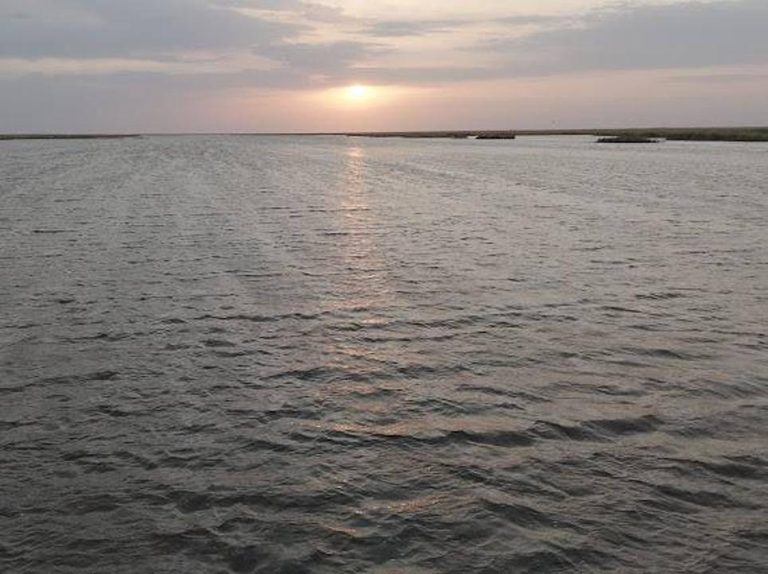 1,2 млрд кубометров воды направлено в Северное Аральское море с октября прошлого года